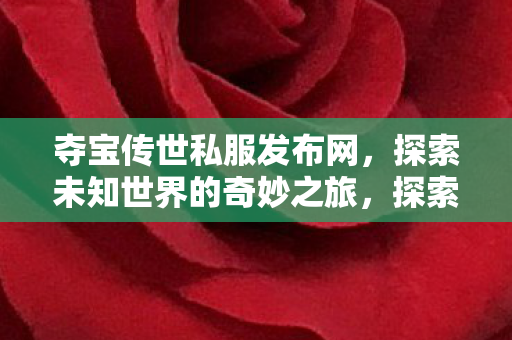夺宝传世私服发布网，探索未知世界的奇妙之旅，探索未知世界的奇妙之旅，夺宝传世私服发布网