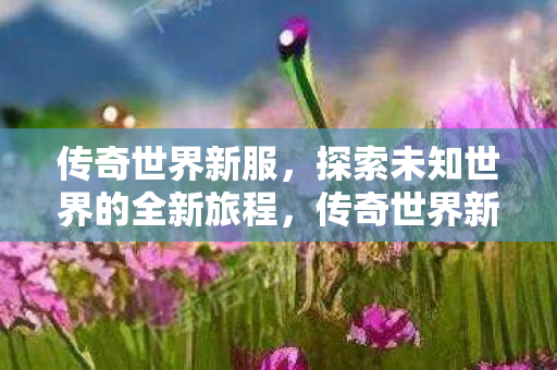 传奇世界新服，探索未知世界的全新旅程，传奇世界新服，开启探索未知世界的全新旅程