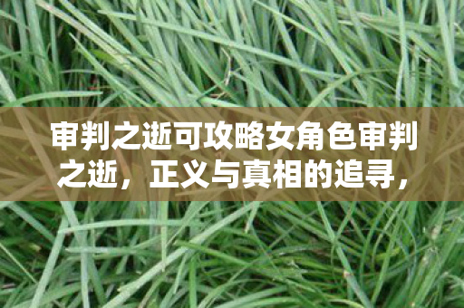 审判之逝可攻略女角色审判之逝,正义与真相的追寻,审判之逝,正义与真相的追寻,可攻略女角色全揭秘! 审判之逝可攻略女角色审判之逝,正义与真相的追寻,审判之逝,正义与真相的追寻,可攻略女角色全揭秘!
