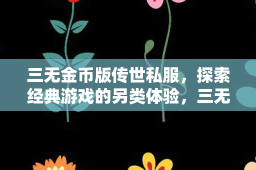 三无金币版传世私服，探索经典游戏的另类体验，三无金币版传世私服，解锁经典游戏的另类冒险之旅
