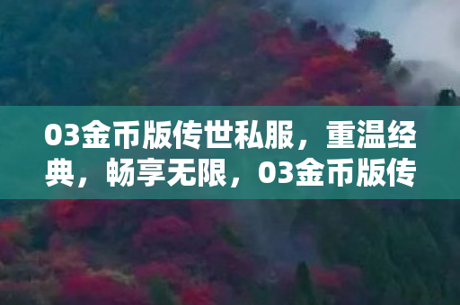 03金币版传世私服，重温经典，畅享无限，03金币版传世私服，重温经典，畅享无限乐趣