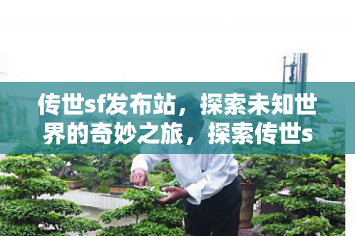 传世sf发布站，探索未知世界的奇妙之旅，探索传世sf发布站，开启未知世界的奇妙之旅