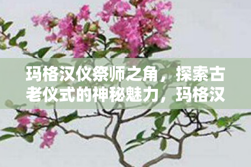玛格汉仪祭师之角,探索古老仪式的神秘魅力,玛格汉仪祭师之角,探索古老仪式的神秘魅力 玛格汉仪祭师之角,探索古老仪式的神秘魅力,玛格汉仪祭师之角,探索古老仪式的神秘魅力