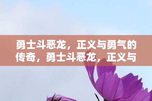 正义与勇气的传奇之旅图片