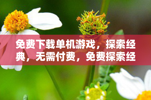 免费探索经典单机游戏图片