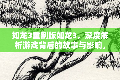如龙3重制版如龙3，深度解析游戏背后的故事与影响，如龙3重制版，深度剖析游戏背后的故事与影响