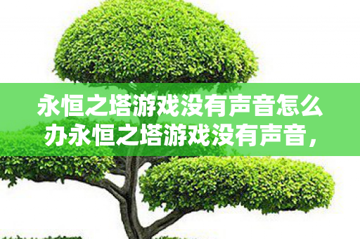 永恒之塔游戏没有声音怎么办永恒之塔游戏没有声音图片