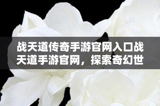 战天道传奇手游官网入口战天道手游官网图片