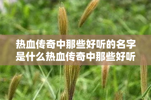 热血传奇中那些好听的名字是什么热血传奇中那些好听的名字,热血传奇中那些令人难忘的好听名字 热血传奇中那些好听的名字是什么热血传奇中那些好听的名字,热血传奇中那些令人难忘的好听名字
