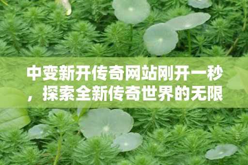 中变新开传奇网站刚开一秒，探索全新传奇世界的无限可能，探索全新传奇世界，中变新开传奇网站刚开一秒
