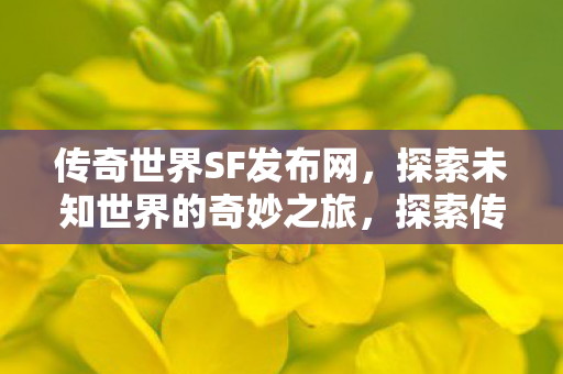 探索未知世界的奇妙之旅图片
