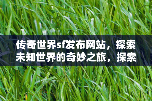 探索传奇世界sf发布网站图片