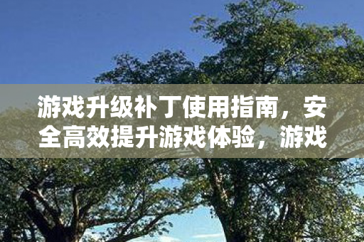 游戏升级补丁使用指南，安全高效提升游戏体验，游戏升级补丁使用指南，安全高效提升游戏体验