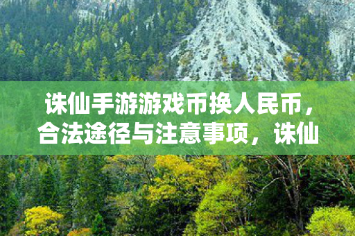合法途径与注意事项全解析图片