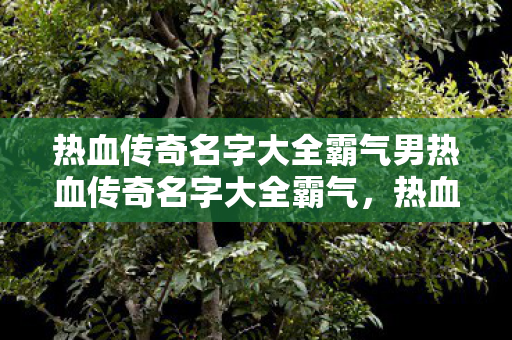 热血传奇名字大全霸气男热血传奇名字大全霸气图片