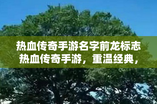 热血传奇手游名字前龙标志热血传奇手游，重温经典，再战江湖，热血传奇手游龙标再现，重温经典，再战江湖！