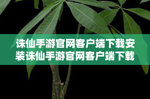 诛仙手游官网客户端下载安装诛仙手游官网客户端下载指南，诛仙手游官网客户端下载指南