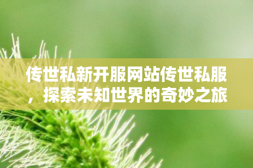 传世私新开服网站传世私服图片