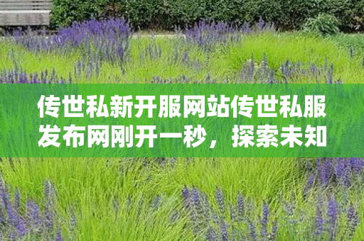 传世私新开服网站传世私服发布网刚开一秒图片