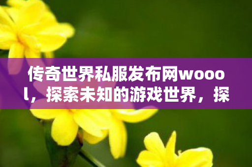 探索传奇世界私服发布网woool图片
