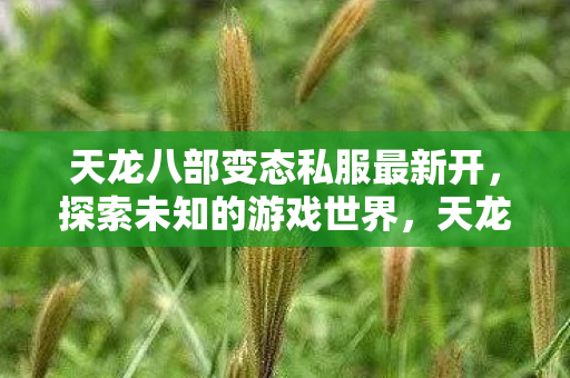 天龙八部变态私服全新开启图片