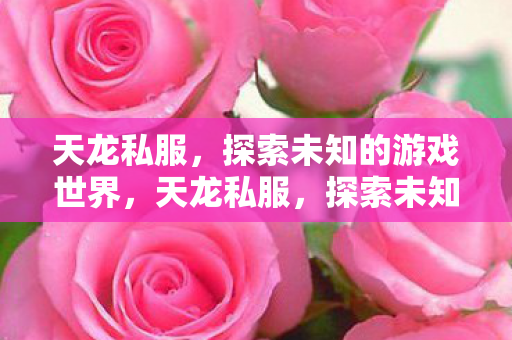 天龙私服，探索未知的游戏世界，天龙私服，探索未知的游戏世界之旅