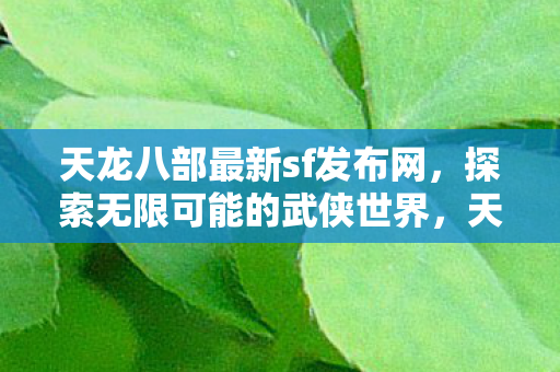 天龙八部最新sf发布网图片