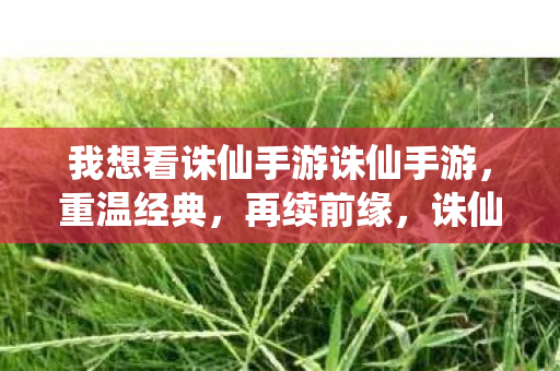 我想看诛仙手游诛仙手游，重温经典，再续前缘，诛仙手游，重温经典，再续前缘