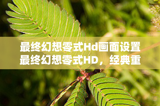 最终幻想零式Hd画面设置最终幻想零式HD图片