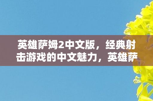 经典射击游戏的中文魅力图片