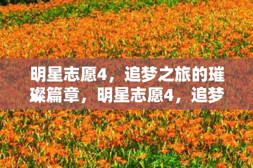 明星志愿4,追梦之旅的璀璨篇章,明星志愿4,追梦之旅的璀璨篇章 明星志愿4,追梦之旅的璀璨篇章,明星志愿4,追梦之旅的璀璨篇章