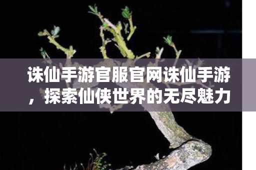诛仙手游官服官网诛仙手游,探索仙侠世界的无尽魅力,诛仙手游官网,探索仙侠世界的无尽魅力 诛仙手游官服官网诛仙手游,探索仙侠世界的无尽魅力,诛仙手游官网,探索仙侠世界的无尽魅力