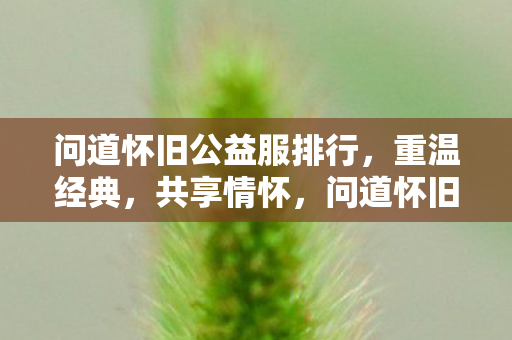 问道怀旧公益服排行,重温经典,共享情怀,问道怀旧公益服排行,重温经典,共享情怀 问道怀旧公益服排行,重温经典,共享情怀,问道怀旧公益服排行,重温经典,共享情怀