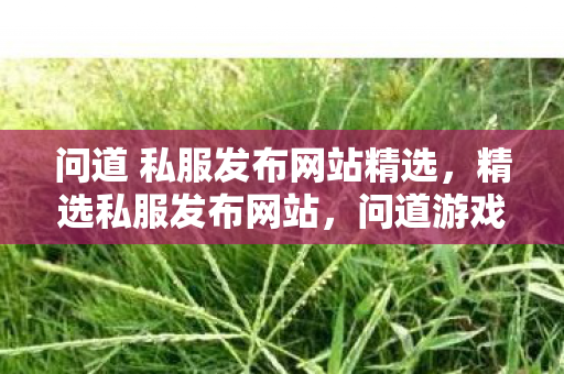 问道 私服发布网站精选图片