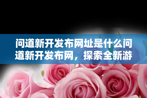 问道新开发布网址是什么问道新开发布网图片
