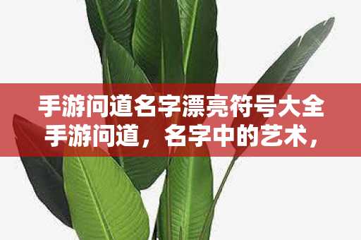 手游问道名字漂亮符号大全手游问道图片