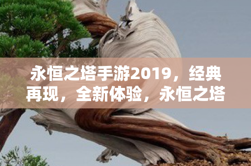 永恒之塔手游2019图片