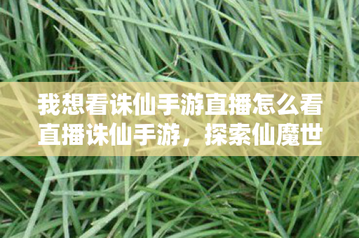 我想看诛仙手游直播怎么看直播诛仙手游图片