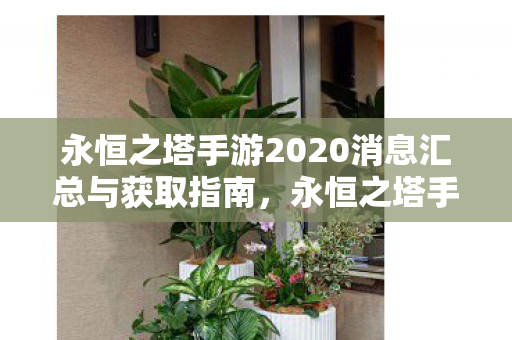 永恒之塔手游2020最新消息汇总与获取指南图片