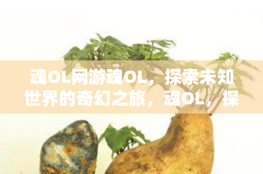 魂OL网游魂OL,探索未知世界的奇幻之旅,魂OL,探索未知世界的奇幻网游之旅 魂OL网游魂OL,探索未知世界的奇幻之旅,魂OL,探索未知世界的奇幻网游之旅