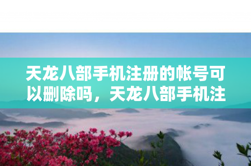天龙八部手机注册的帐号可以删除吗图片