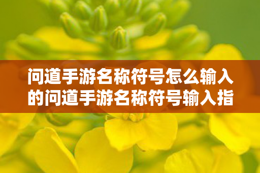 问道手游名称符号怎么输入的问道手游名称符号输入指南图片
