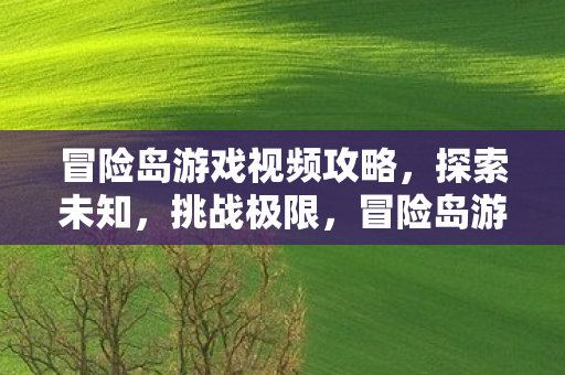冒险岛游戏视频攻略图片