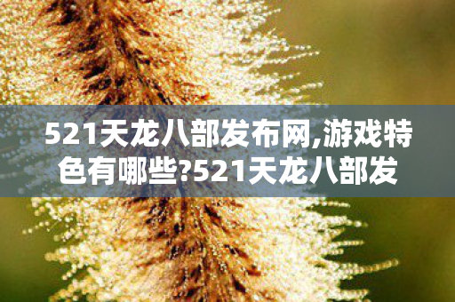 521天龙八部发布网,游戏特色有哪些?521天龙八部发布网,畅游江湖,尽享经典,521天龙八部发布网,畅游江湖,尽享经典游戏特色 521天龙八部发布网,游戏特色有哪些?521天龙八部发布网,畅游江湖,尽享经典,521天龙八部发布网,畅游江湖,尽享经典游戏特色