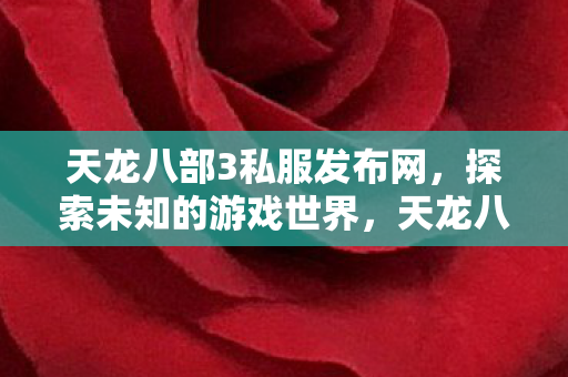 天龙八部3私服发布网，探索未知的游戏世界，天龙八部3私服发布网，探索未知的游戏世界