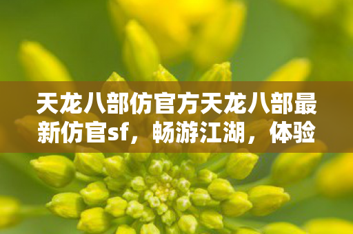 天龙八部仿官方天龙八部最新仿官sf,畅游江湖,体验全新武侠世界,天龙八部仿官方SF,畅游江湖,体验全新武侠世界 天龙八部仿官方天龙八部最新仿官sf,畅游江湖,体验全新武侠世界,天龙八部仿官方SF,畅游江湖,体验全新武侠世界