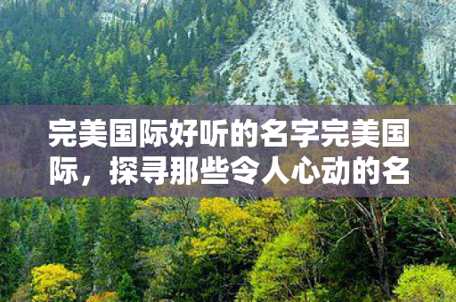 完美国际好听的名字完美国际，探寻那些令人心动的名字，完美国际，探寻那些令人心动的名字
