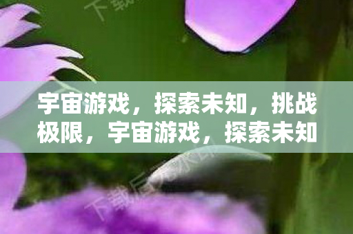 宇宙游戏,探索未知,挑战极限,宇宙游戏,探索未知,挑战极限 宇宙游戏,探索未知,挑战极限,宇宙游戏,探索未知,挑战极限