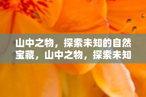 山中之物,探索未知的自然宝藏,山中之物,探索未知的自然宝藏 山中之物,探索未知的自然宝藏,山中之物,探索未知的自然宝藏
