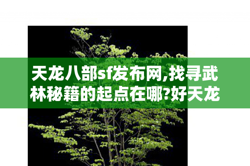 探索经典游戏天龙八部的另类魅力图片